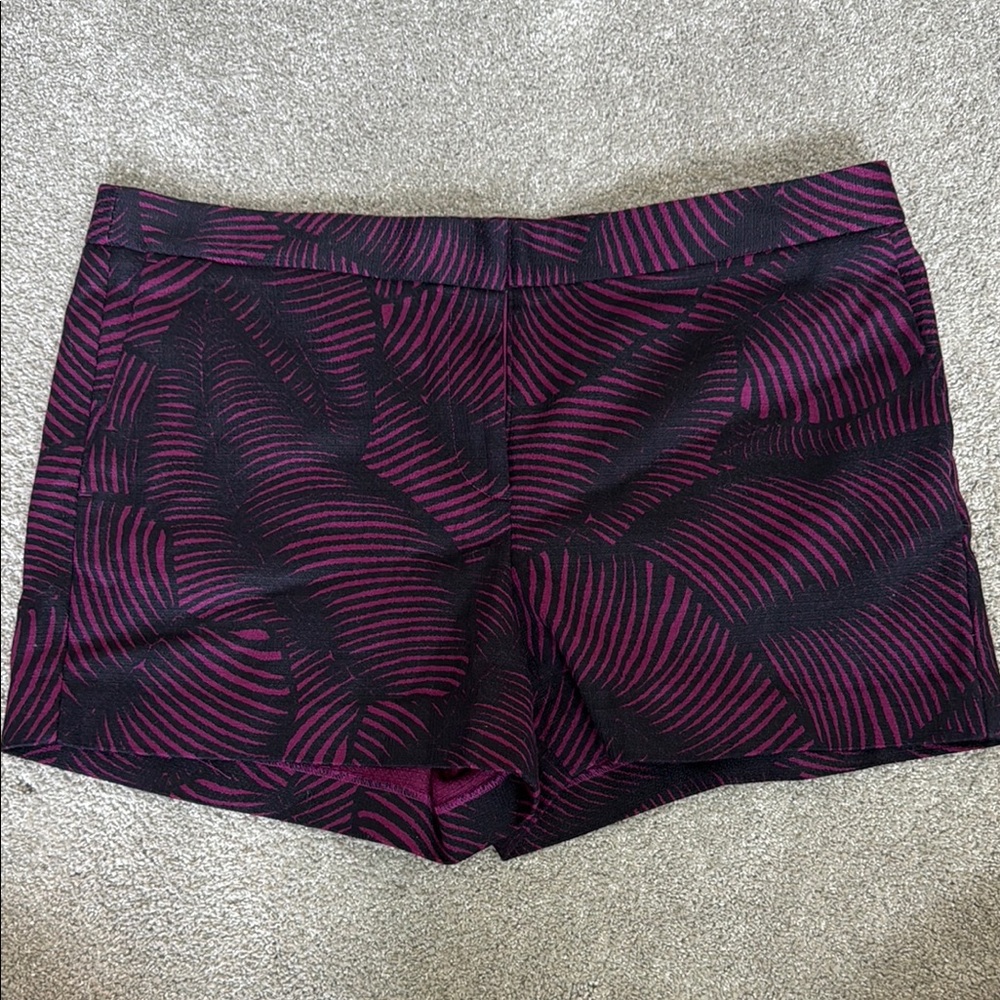 Ann Taylor High Waist Black and Purple Shorts